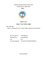 Tổ chức bộ máy kế toán và hệ thống sổ kế toán tại công ty tnhh sản xuất và thương mại việt hoa