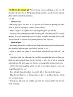 Chuyen de lich su 10 thong su va lich su theo linh vuc ket noi tri thu