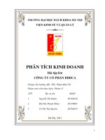 Phân tích kinh doanh bài tập lớn công ty cổ phần bibica