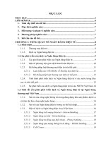 Phát triển dịch vụ ngân hàng điện tử tại ngân hàng bidv