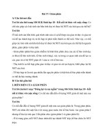 Giải sgk sinh học 10 – kết nối tri thức bài  (18)