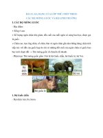 Lý thuyết sinh học 7 bài (15)