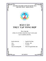 Tổ chức bộ máy kế toán và hệ thống kế toán tại công ty cp thương mại và du lịch vận tải đông dương