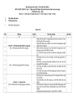 Mỹ thuật 7   kh tổ cm