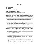 PHÁT TRIỂN HOẠT ĐỘNG CHO VAY KHCN TẠI NGÂN HÀNG TMCP BẢO VIỆT