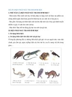 Lý thuyết sinh học 7 bài (24)