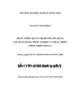 Hoàn thiện quản trị rủi ro tín dụng tại ngân hàng nông nghiệp và phát triển nông thôn sơn la