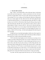 Hoàn thiện hệ thống ksnb trong ctcp trên địa bàn thành phố hà nội