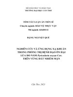 Tóm tắt: Nghiên cứu và ứng dụng xạ khuẩn trong phòng trị bệnh đạo ôn hại lúa do nấm Pyricularia oryzae Cav. trên vùng đất nhiễm mặn.