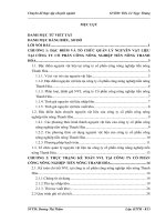 Hoàn thiện công tác kế toán nguyên vật liệu tại công ty cổ phần công nông nghiệp tiến nông thanh hóa