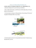 Lý thuyết sinh học 7 bài (21)