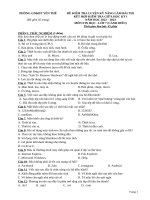 24 đề tin 7 giua hki (22 23 sách canh dieu) (2)