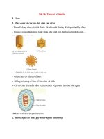 Lý thuyết khoa học tự nhiên 6 – cánh diều bài  (16)