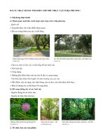 Lý thuyết địa lí 6 – cánh diều bài  (24)