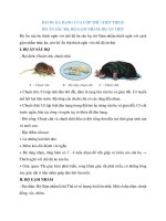 Lý thuyết sinh học 7 bài (14)
