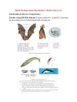 Giải sgk sinh học 7 bài  (19)