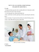 Lý thuyết địa lí 10 – kết nối tri thức bài  (27)