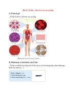 Lý thuyết khoa học tự nhiên 6 – cánh diều bài  (12)