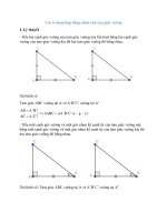 Các dạng bài tập toán lớp 7 bài  (47)