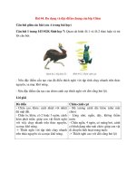 Giải sgk sinh học 7 bài  (14)