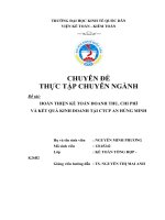 Hoàn thiện kế toán doanh thu, chi phí và kết quả kinh doanh tại ctcp an hùng minh