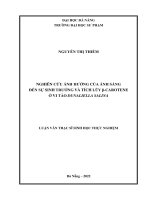 Nghiên cứu ảnh hưởng của ánh sáng đến sự sinh trưởng và tích lũy β carotene ở vi tảo dunaliella salina