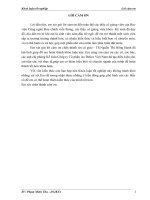 Hoàn thiện kế toán chi phí sản xuất và tính giá thành sản phẩm tại công ty cổ phần au delice việt nam