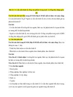 Giải sgk địa lí 10 – kết nối tri thức bài  (20)