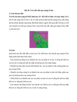 Giải sgk sinh học 10 – kết nối tri thức bài  (11)