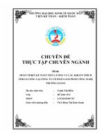 Hoàn thiện kế toán tiền lương và các khoản trích theo lương tại công ty cổ phần giải pháp công nghệ trường giang