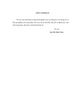 Phát triển dịch vụ ngân hàng điện tử tại ngân hàng thương mại cổ phần ngoại thương việt nam