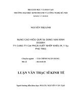 Nâng cao hiệu quả sử dụng vốn kinh doanh tại công ty cổ phần xuất nhập khẩu máy và phụ tùng