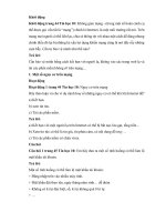 Giải sgk tin học 10 – kết nối tri thức bài  (9)