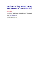 Những nhánh rong xanh trên dòng sông tuổi nhỏ   yên sơn