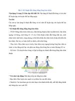 Giải sgk giáo dục thể chất 10 – kết nối tri thức bài  (4)