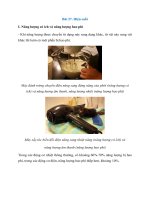 Giải sgk tin 10,  tin học lớp  10, kết nối tri thức bài  (22)