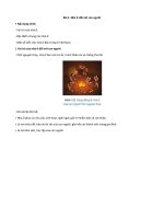 Lý thuyết công nghệ 6 – cánh diều bài  (1)