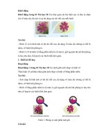 Giải sgk tin học 10 – kết nối tri thức bài  (12)