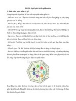 Lý thuyết tin học 10 – kết nối tri thức bài (34)