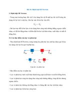 Giải sgk tin 10,  tin học lớp  10, kết nối tri thức bài  (13)