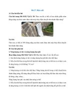 Giải sgk vật lí 10 – kết nối tri thức bài  (28)