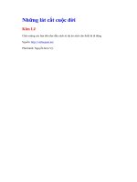 Những lát cắt cuộc đời   kim lê