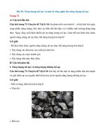 Giải chuyên đề vật lí 10 – kết nối tri thức bài  (13)