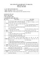 Đề cương ôn tập học kì 1 môn Ngữ văn lớp 12 năm 2022-2023 - Trường THPT Triệu Quang Phục