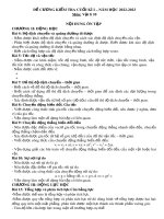 Đề cương ôn tập học kì 1 môn Vật lí lớp 10 năm 2022-2023 - Trường THPT Ngô Gia Tự