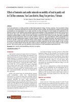 Effects of bentonite and zeolite minerals on mobility of lead in paddy soil in Chi Dao commune, Van Lam district, Hung Yen province, Vietnam
