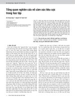 Tổng quan nghiên cứu về cảm xúc tiêu cực trong học tập