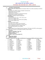 Thuvienhoclieu com de cuong on tap hk1 anh 10 nam 2022 2023