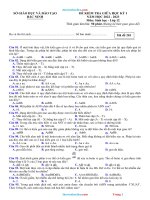 Thuvienhoclieu com de kt giua hk1 sinh 12 so gd bac ninh 2022 2023