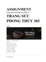 Assignment tổng quan thương mại điên tử trang sức phong thủy 365